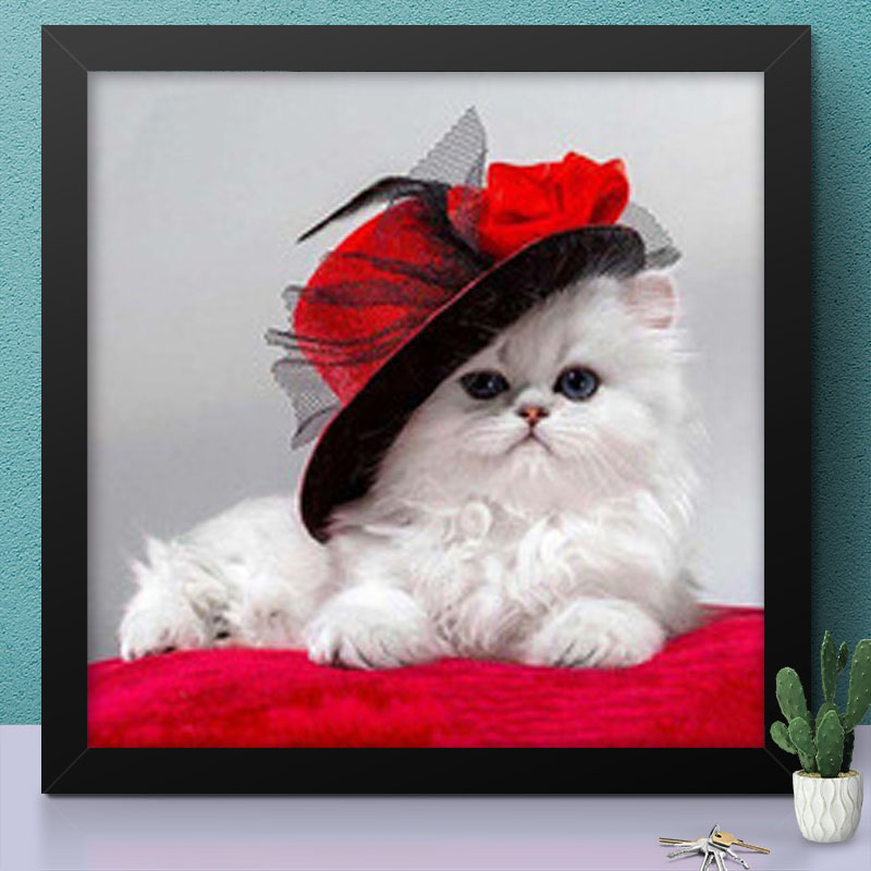 White Cat with Red Hat
