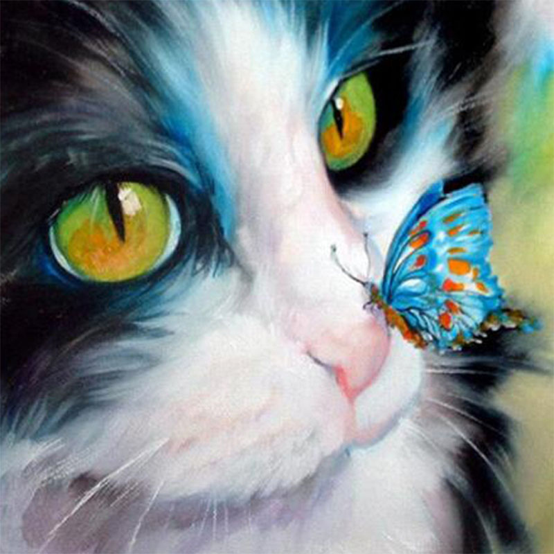 Cat And Butterfly