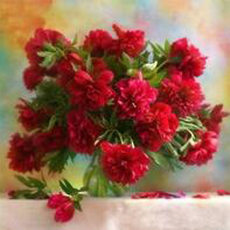 Beautiful Red Rose in Vase
