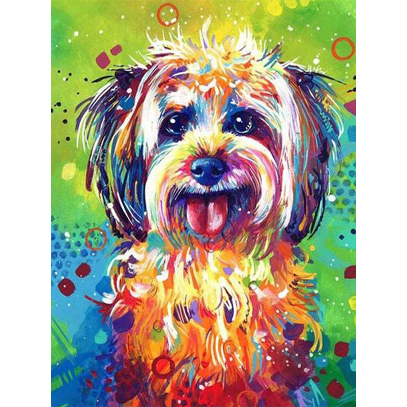 The Funny Colorful Pet - Dog