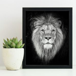 The Black and White Lion