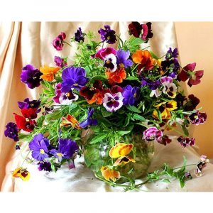 Colorful Flowers in Vase