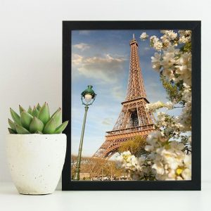 Eiffel Tower and White Flowers