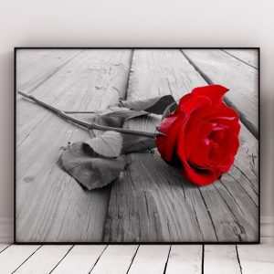 Red Rose on the Wooden Floor