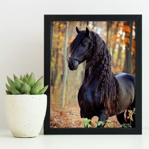 Black Beauty - Horse