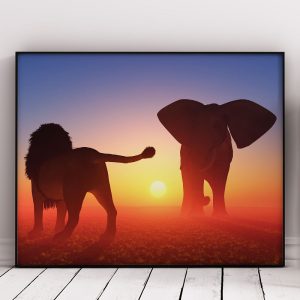 Lion And Elephant